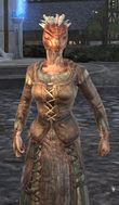 Female Argonian