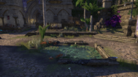 ON-achievement- So Clean in Sunport (Guildtrader's Pond).png