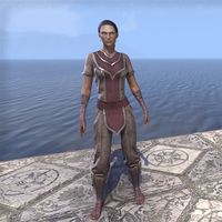 Sea Drake Garb (female)