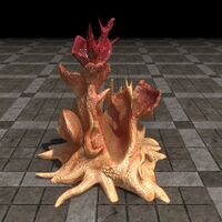 ON-furnishing-Festering Coral, Large Crimson-Orange.jpg
