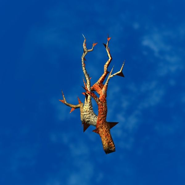 File:SRMOD-LOTD-tide-coral-spiked.jpg