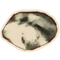 Thumbnail for version as of 17:59, 29 May 2025