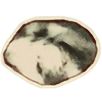 OBR-icon-ingredient-Dreugh Wax.png