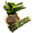 ON-icon-stolen-Plant.png