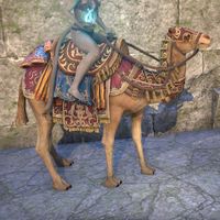 ON-mount-Baandari Pedlar Camel.jpg