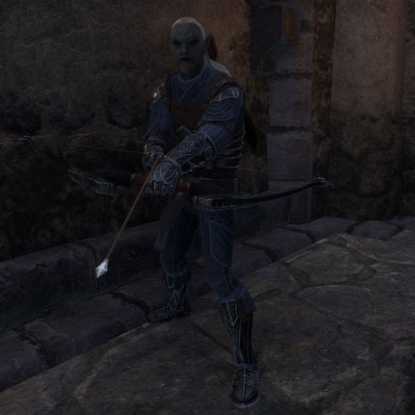 File:ON-npc-Rethan Hunter.jpg
