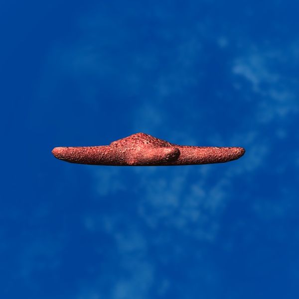 File:SRMOD-LOTD-tide-starfish-red.jpg