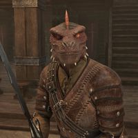 OBR-npc-Right-Wind 02.jpg