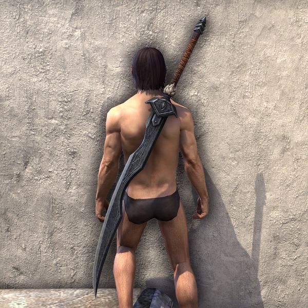 File:ON-item-weapon-Skinchanger Greatsword.jpg