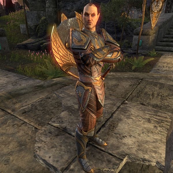 File:ON-npc-Ambassador Telnintor.jpg