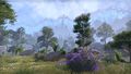 Thumbnail for version as of 03:49, 1 June 2025