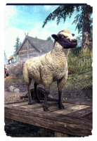 ON-card-Silent Moons Sheep.png