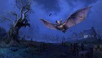 ON-prerelease-Long-Winged Bat.jpg