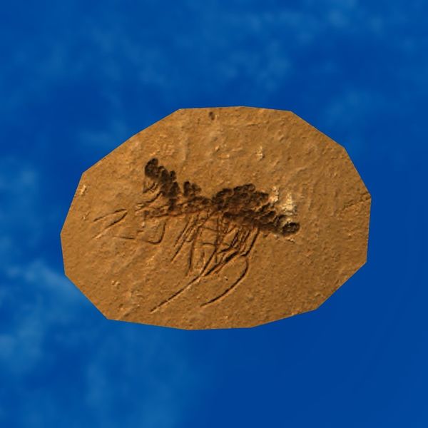 File:SRMOD-LOTD-fossil-t2-moss fossil.jpg