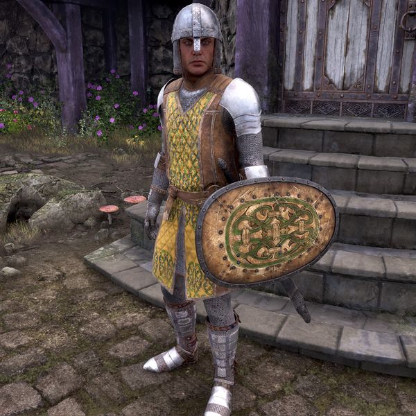 File:OBR-npc-Cheydinhal Guard.jpg
