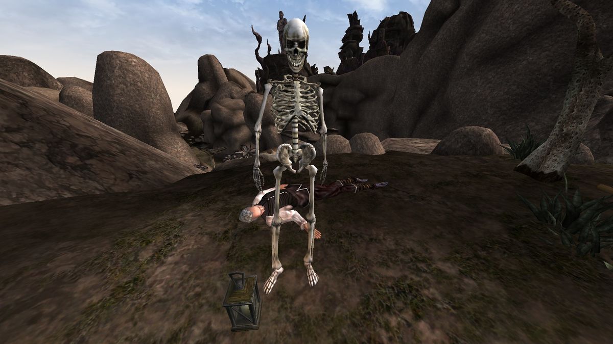 Tamriel Rebuilt Skeleton Wizard The Unofficial Elder Scrolls Pages Uesp