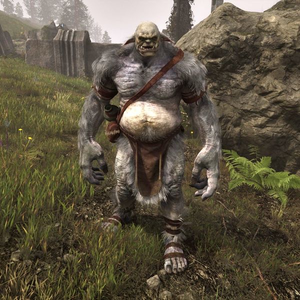 File:OBR-creature-Ogre.jpg