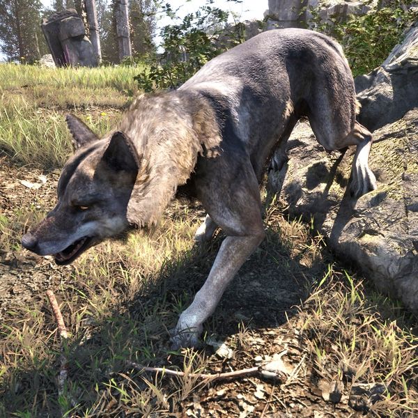 File:OBR-creature-Timber Wolf.jpg
