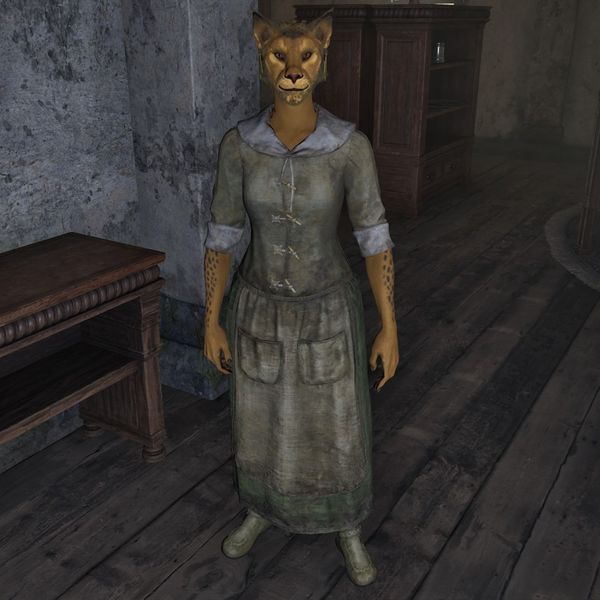 File:OBR-npc-Nahsi.jpg