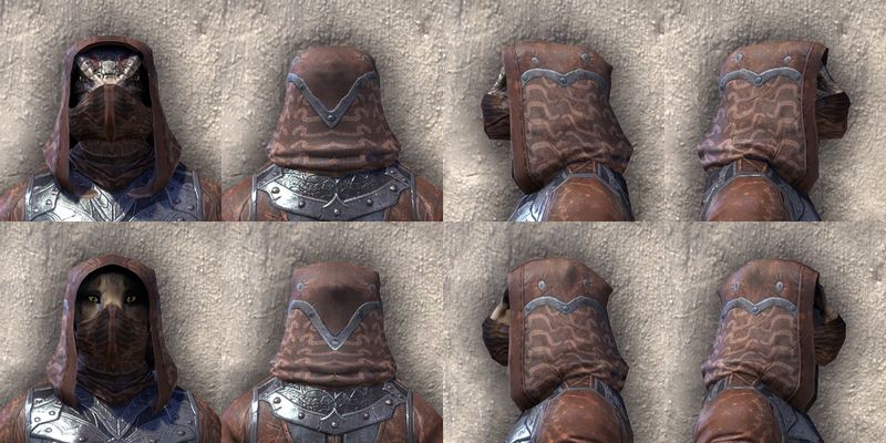 File:ON-item-armor-Assassins League Heavy Beast Races.jpg