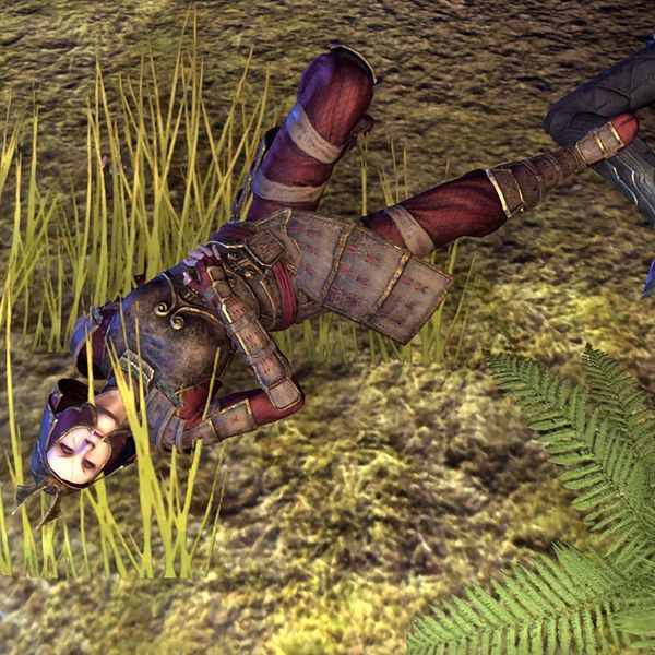 File:ON-npc-Fighters Guild Member.jpg