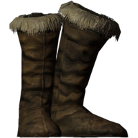 SR-icon-clothing-Fur-LinedBoots.png