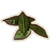 OBR-icon-ingredient-Primrose Leaves.png