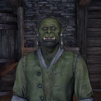 OBR-npc-Bogrum Gro-Galash 02.jpg
