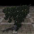 Thumbnail for version as of 20:36, 19 April 2025
