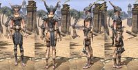 ON-item-armor-Iron-Primal-Female.jpg