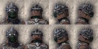 ON-item-armor-Morag Tong Medium Beast Races.jpg