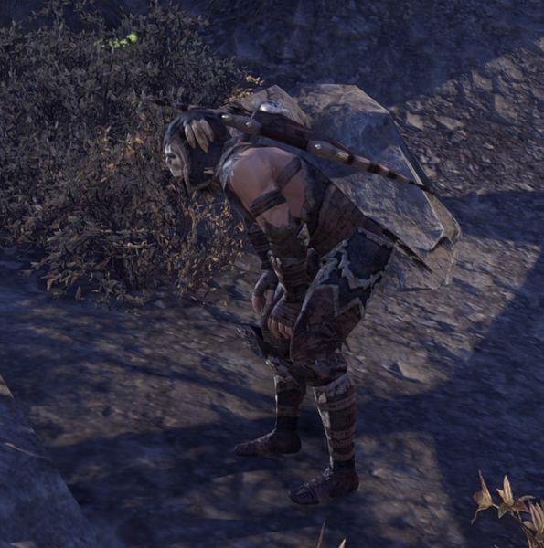 File:ON-npc-Reach Scout.jpg
