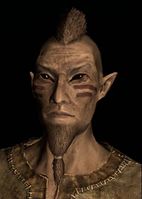 SR-race-Wood Elf (male).jpg