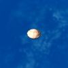 SRMOD-LOTD-tide-scallop shell-rough.jpg