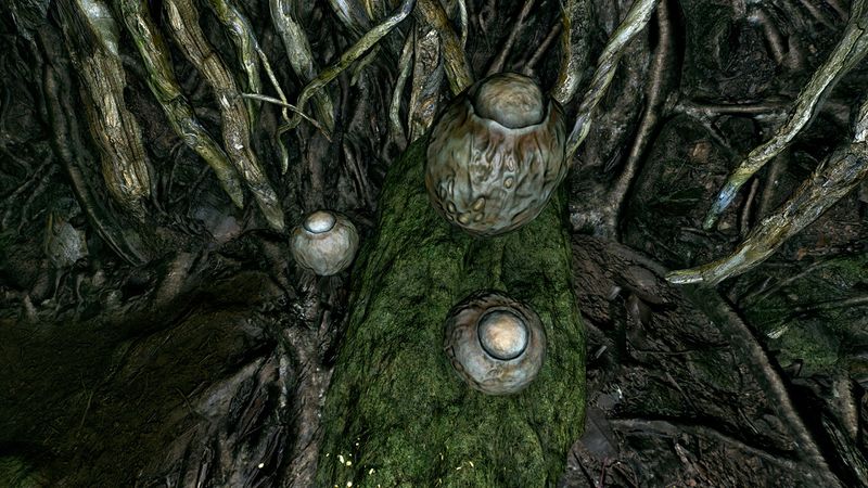 File:OBR-flora-Screaming Maw.jpg