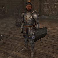 OBR-npc-Bruma Fighters Guild Porter.jpg