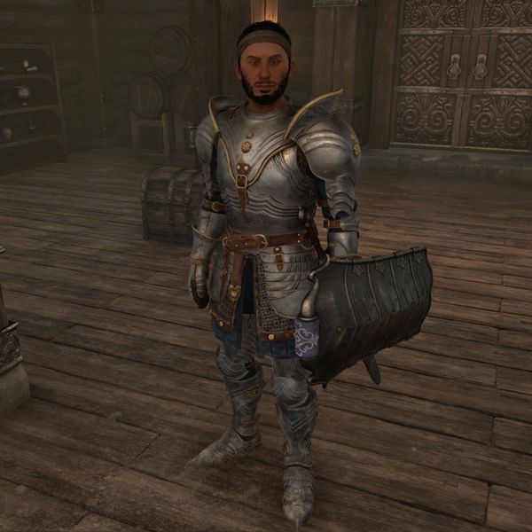 File:OBR-npc-Bruma Fighters Guild Porter.jpg