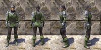 ON-item-armor-Dreadsails Heavy Female.jpg