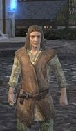 Male Wood Elf