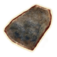 OBR-icon-clothing-Zealot's Hood.png