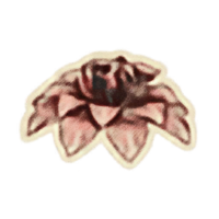 OBR-icon-ingredient-Redwort Flower.png