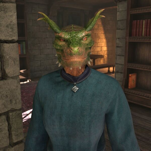 File:OBR-npc-Druja.jpg