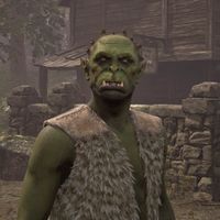 OBR-npc-Gaturn gro-Gonk 02.jpg