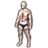 ON-icon-body marking-Glenmoril Wyrd Body Markings.png