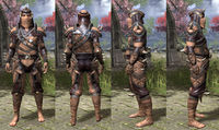 ON-item-armor-Full-Leather-Bosmer-Male.jpg