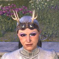 ON-major adornment-Great Stag Brow Antlers 02.jpg