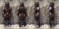 ON-item-armor-Pyre Watch Heavy Male.jpg