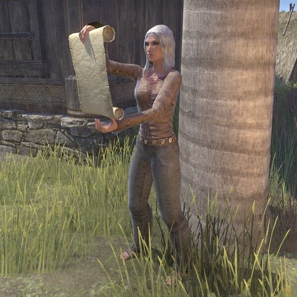File:ON-npc-Iogreth.jpg