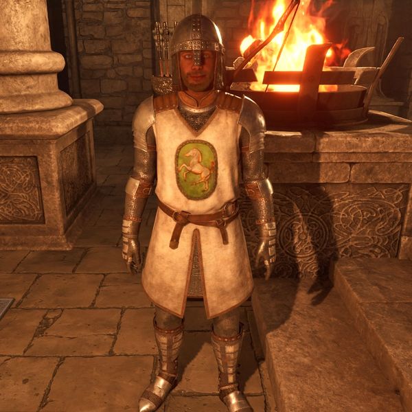 File:OBR-npc-Leyawiin Bodyguard Count.jpg