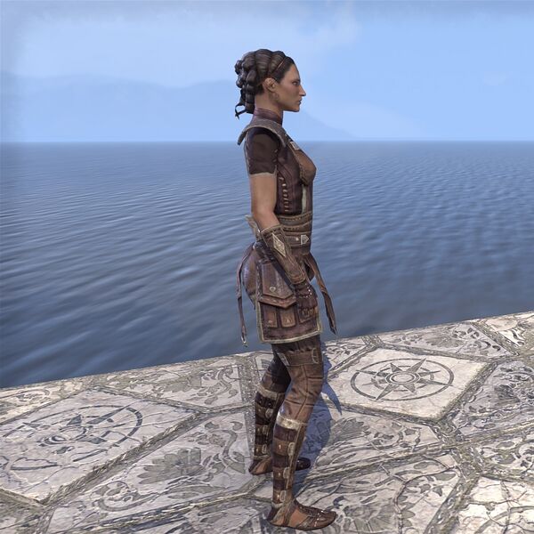 File:ON-costume-Seventh Legion Armor (side).jpg